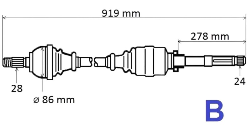 T6203.jpg