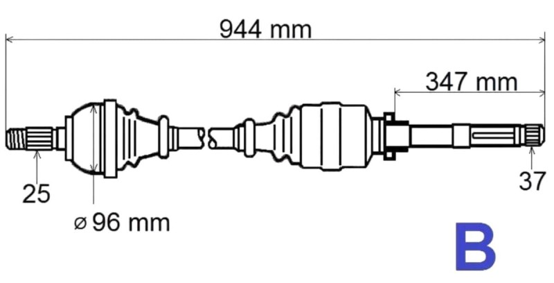 T5497 (2).jpg