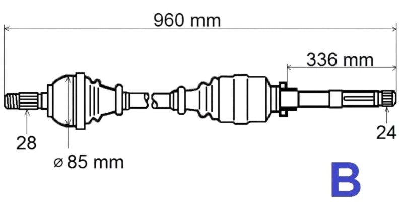 T5985.jpg