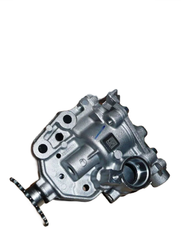 1photoAid-removed-background.png