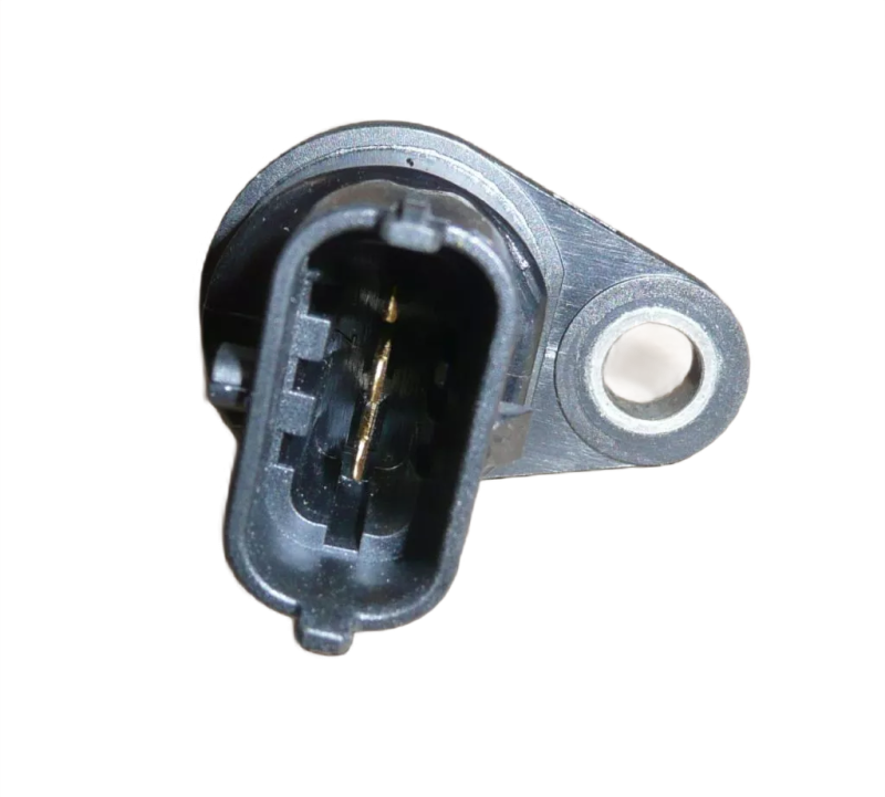 1photoAid-removed-background (31).png