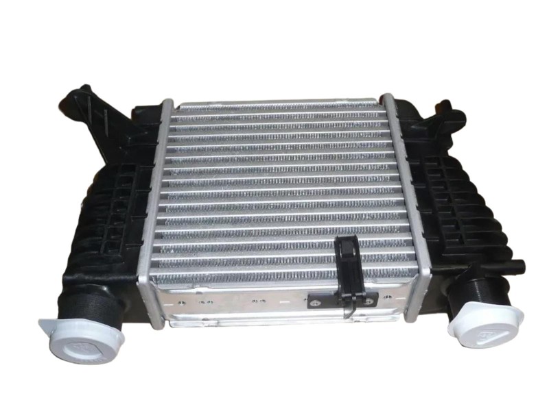 Chłodnica Powietrza Renault Clio 8200471888