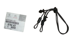 Linka Tylnej Półki Citroen C5 / C5 II 8794KT Nowy Oryginał OE