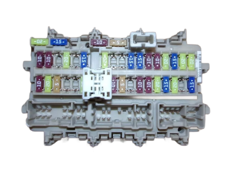 243808901R (2).png