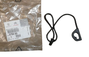 Linka Tylnej Półki Citroen C4 879460 Nowy Oryginał OE