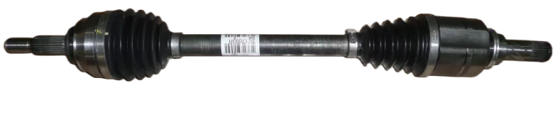 37photoAid-removed-background.png