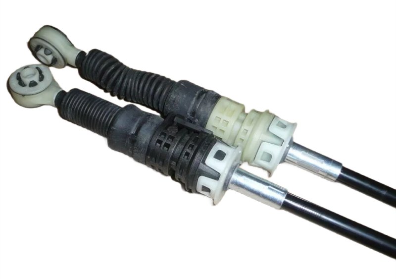 55photoAid-removed-background.png