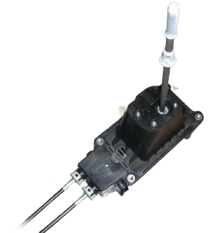 54photoAid-removed-background.png
