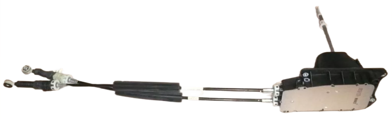 53photoAid-removed-background.png