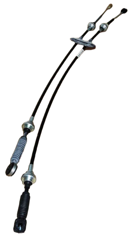 5photoAid-removed-background (1).png