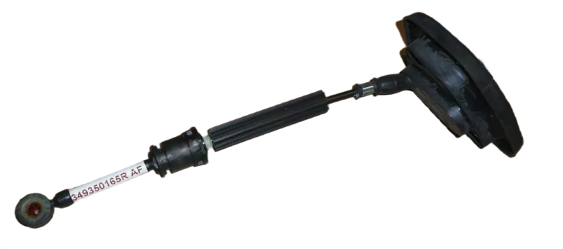 24photoAid-removed-background (1).png