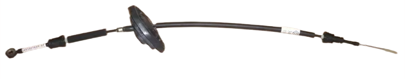 23photoAid-removed-background (1).png